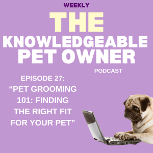 Pet Grooming 101: Finding the Right Fit for Your Pe