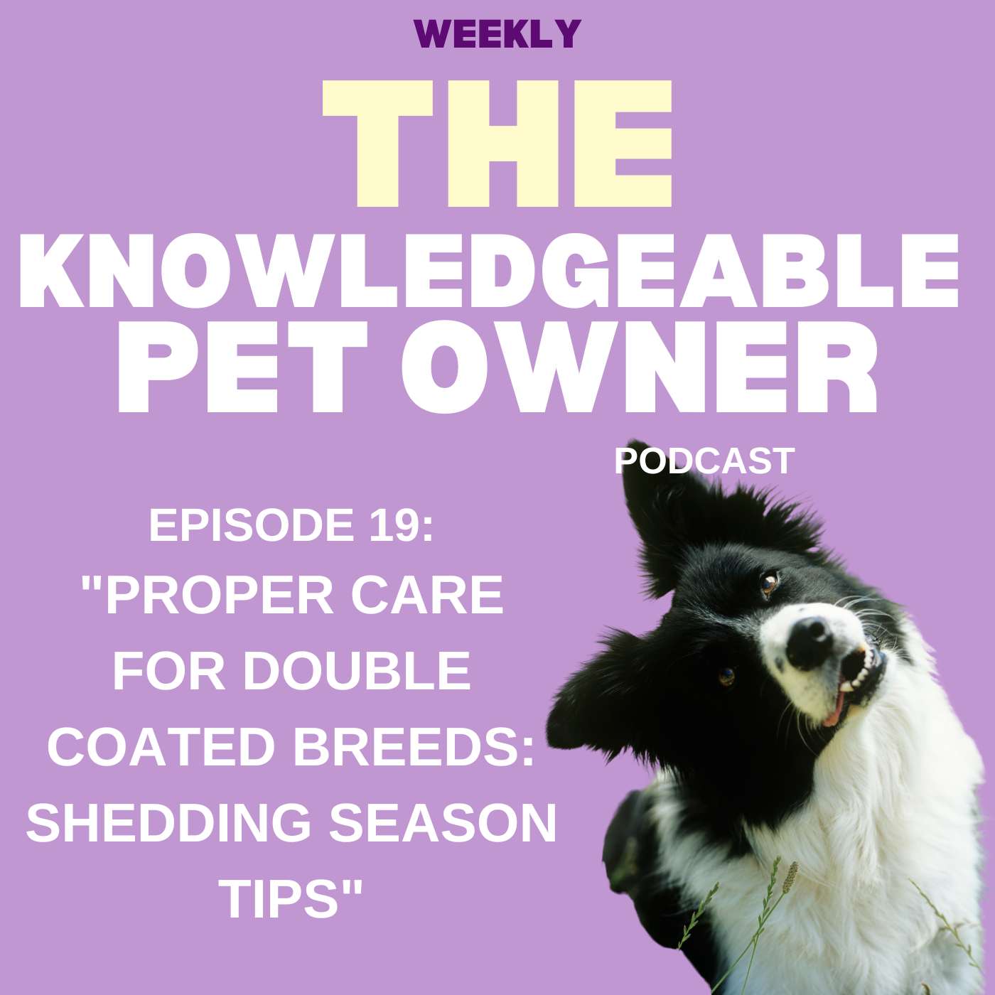 The Knowledgeable Pet Owner