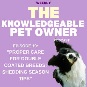 Proper Care for Double Coated Breeds: Shedding Season Tips