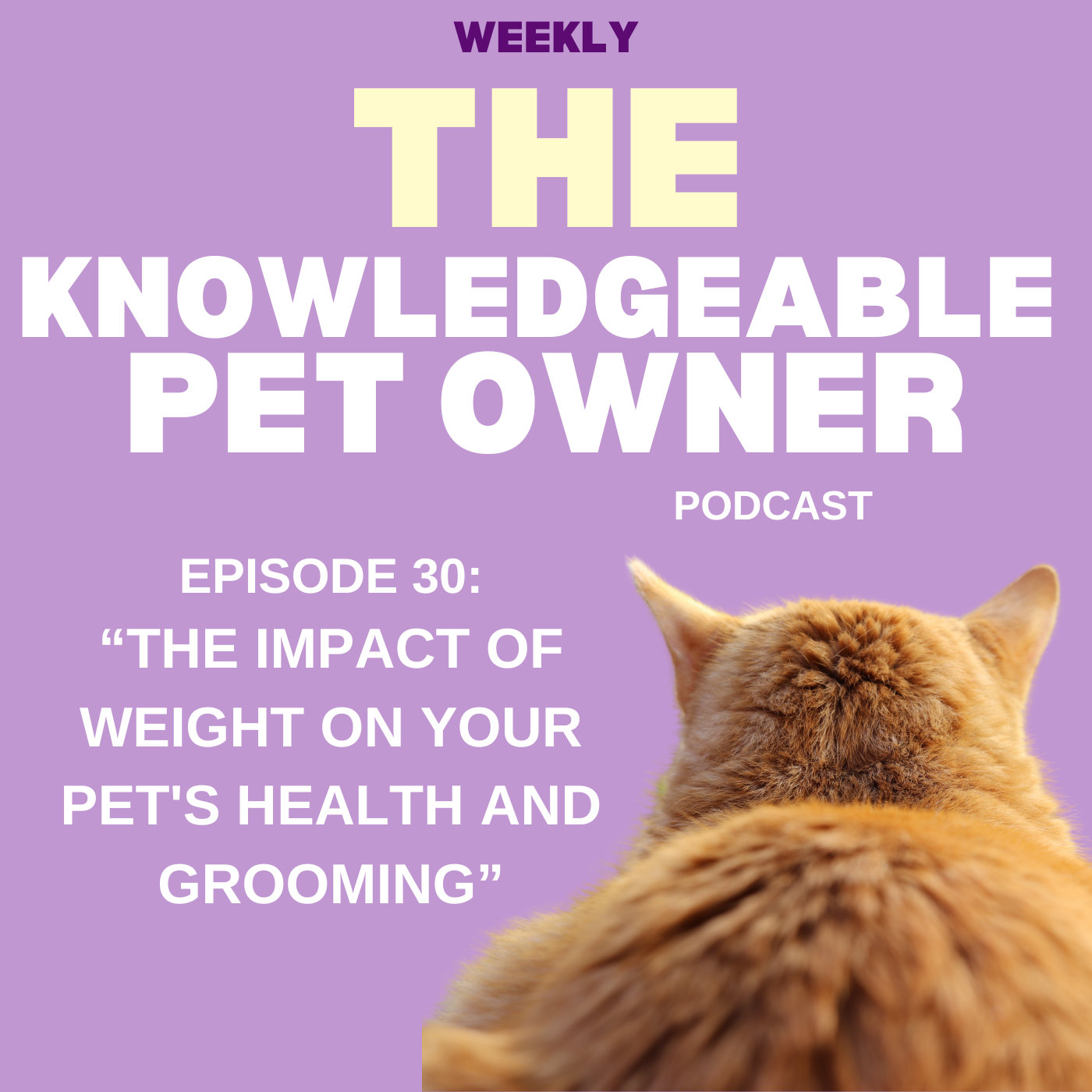 The Knowledgeable Pet Owner