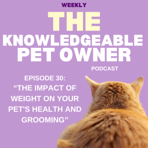 The Impact of Weight on Your Pet's Health and Grooming