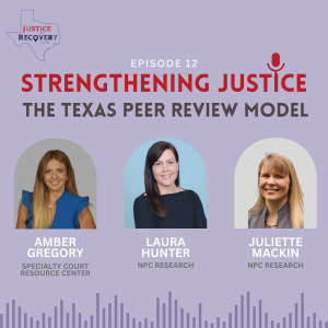 12. Strengthening Justice: The Texas Peer Review Model