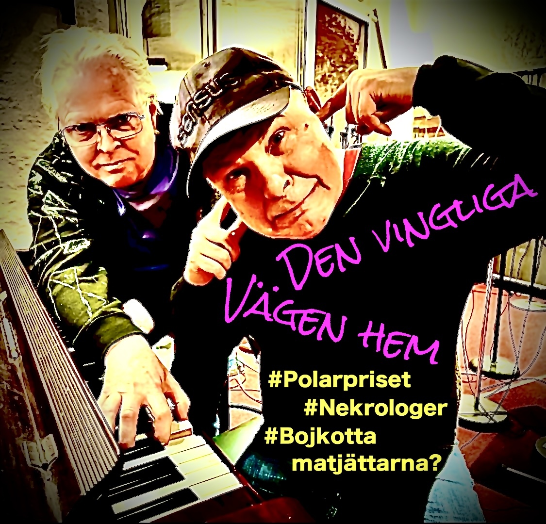 DEN VINGLIGA VÄGEN HEM