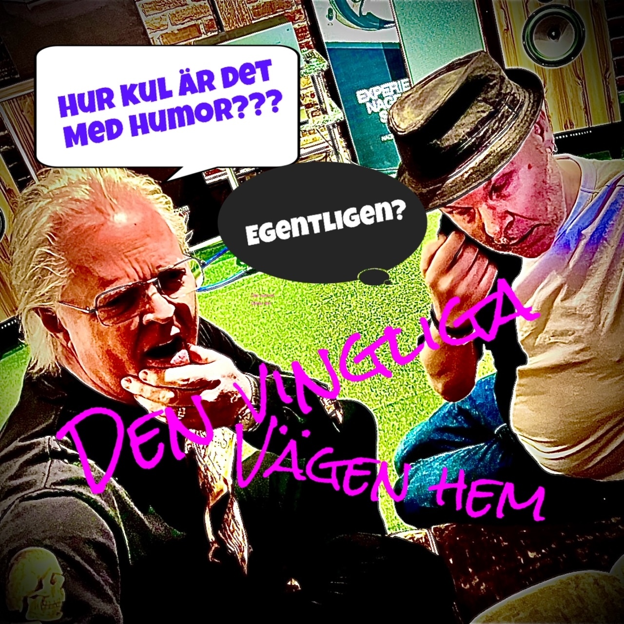 DEN VINGLIGA VÄGEN HEM