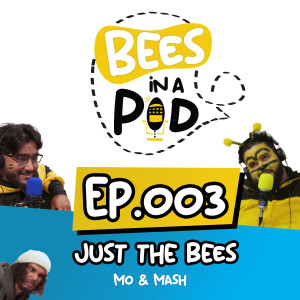 EP.003 - The Bees have a meltdown about Conscious AI ethics, and brain chips