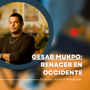 Entrevista a Gesar Mukpo, el tulku de Shechen Kontrul Rinpoche