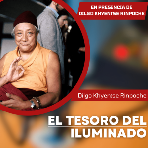 «El tesoro del Iluminado» Introducción a la naturaleza de la mente por Dilgo Khyentse Rinpoche