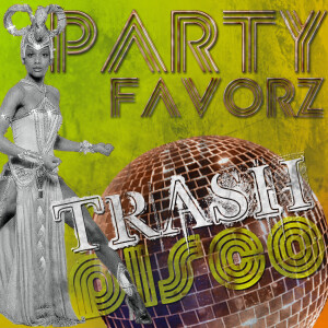 Shake Your Groove Thing | Trash Disco Megamix