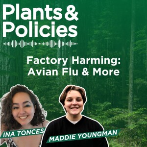 Factory Harming: Avian Flu & More
