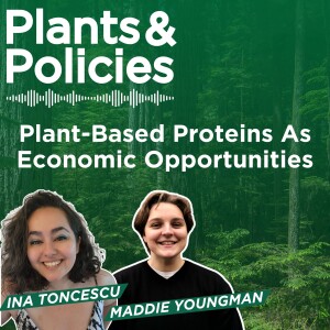 Plant-Based Proteins As Economic Opportunities