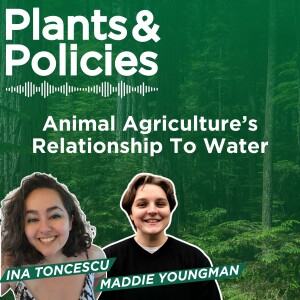 Animal Agriculture's Relationship To Water