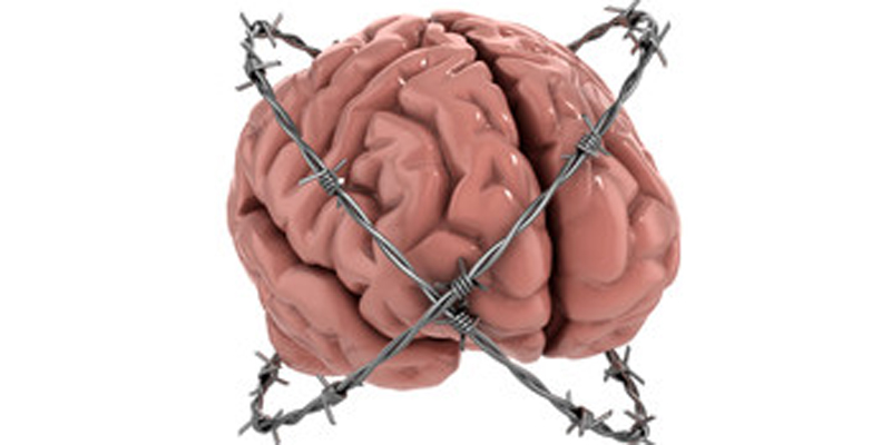 Freedom and Happiness ~ The connection between freedom and happiness - A short interview with Dr. Andy Bernstein.