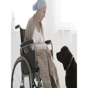 🎤 PODCAST • Pet Assisted Therapy ~ a short interview with therapist Pearl Salotto