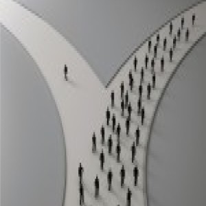 Psychological Independence ~ The importance of psychological independence - a short interview with Dr. John David Lewis.