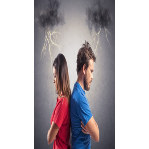 🎤 PODCAST • Sex vs. ? ~ Can my erotic romantic relationship survive if we have conflicting major values and goals?