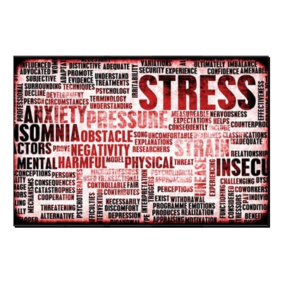 1-Scams 2-Job Stress 1-How to tell the difference between scams and entertainment. 2-The stress at work is driving me crazy.