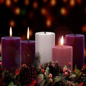 Bible Study for the 3rd Sunday in Advent - Gospel