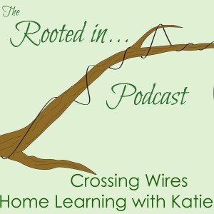 S3E4: Crossing Wires – Home Learning with Katie Elam