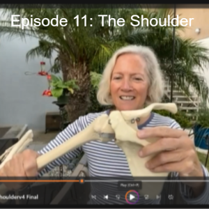 Episode 11: The Shoulder