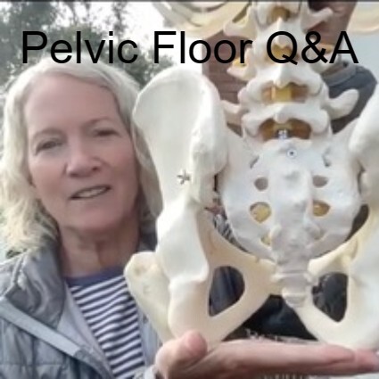 Pelvic Floor Q&A