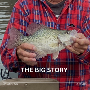 The Big Story
