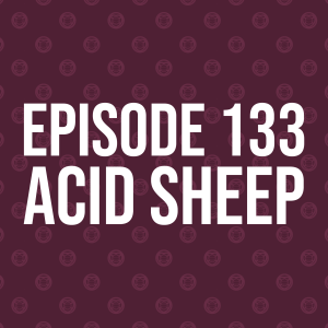 Episode 133 – Acid Sheep