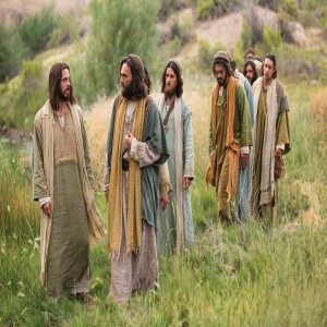 Episode 18: Story of Discipleship