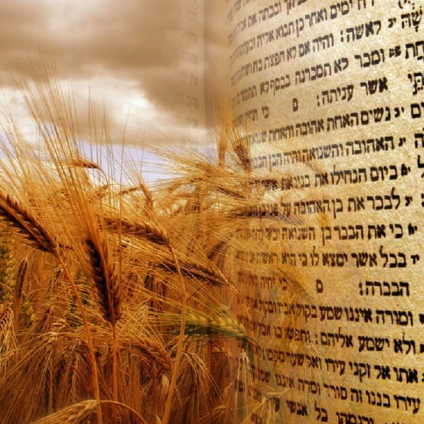 Israel-   Why is the Middle East Important?  Neil Johnson and Jeff Pelletier