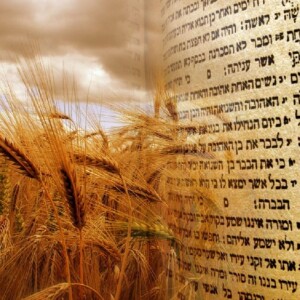 Shavuot-Pentecost- 7 weeks and ONE day that CHANGED EVERYTHING