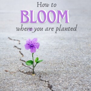 How to bloom where you are planted