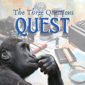 The Three Questions Quest