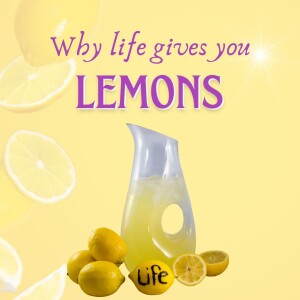 Why Life gives you Lemons