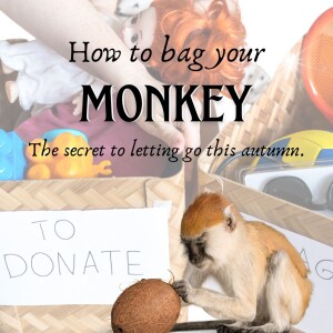 How to bag your monkey: letting go, declutter and release what's weighing you down