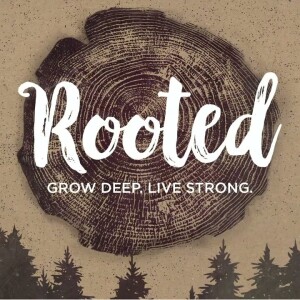 8-13-23 : Rooted Part 2 - Keep Growing