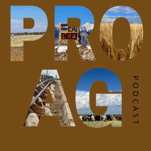 ProAg Podcast: Episode 1