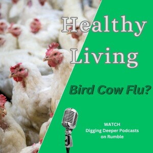 New Bird Cow Flu?