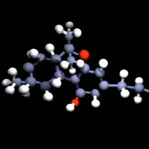 The Endocannabinoid System - Ep. #002