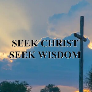Seek First