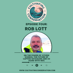 Episode Four: Rob Lott on the power of citizen science, the future of captive cetaceans and 20 years with WDC