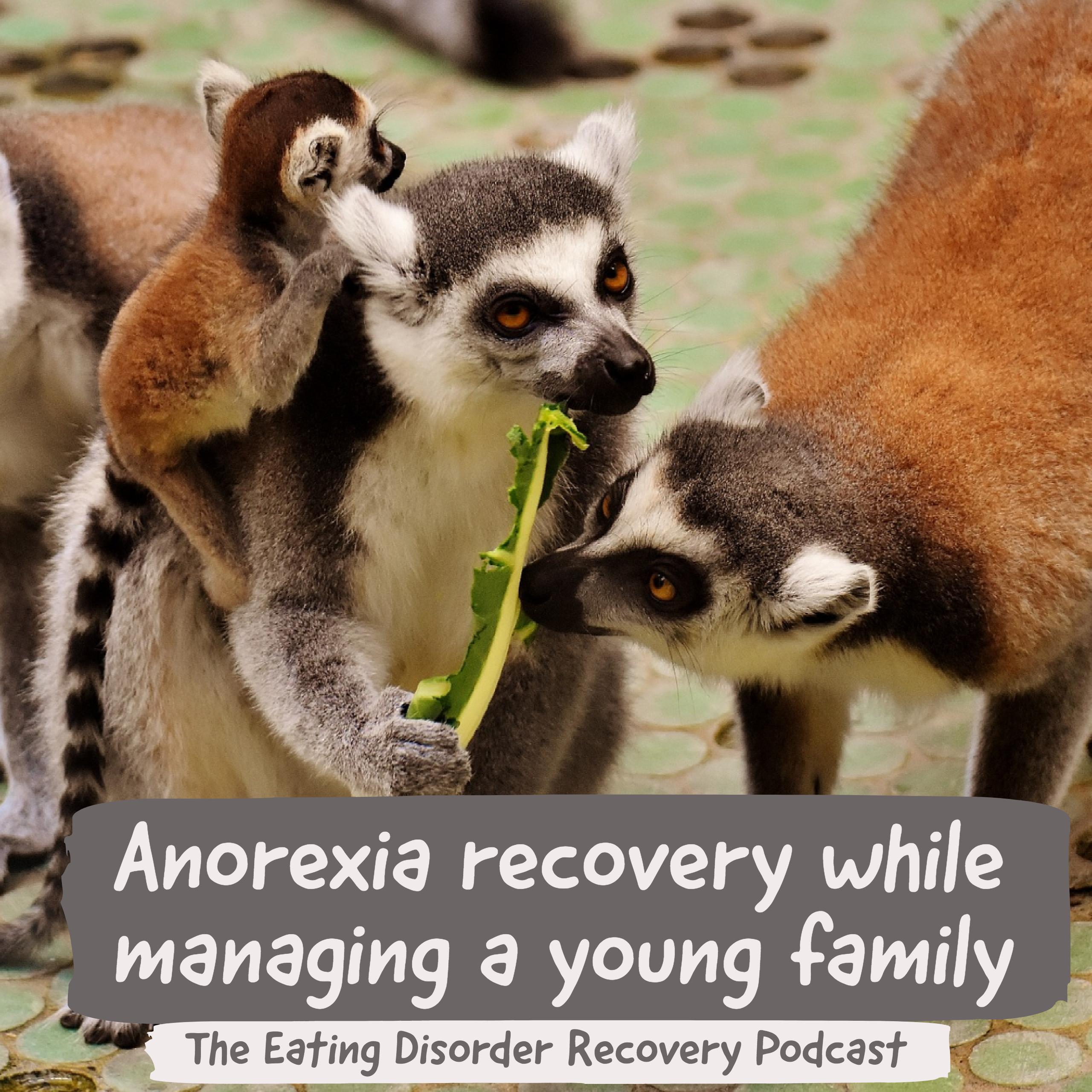 Anorexia recovery while managing a young family. 