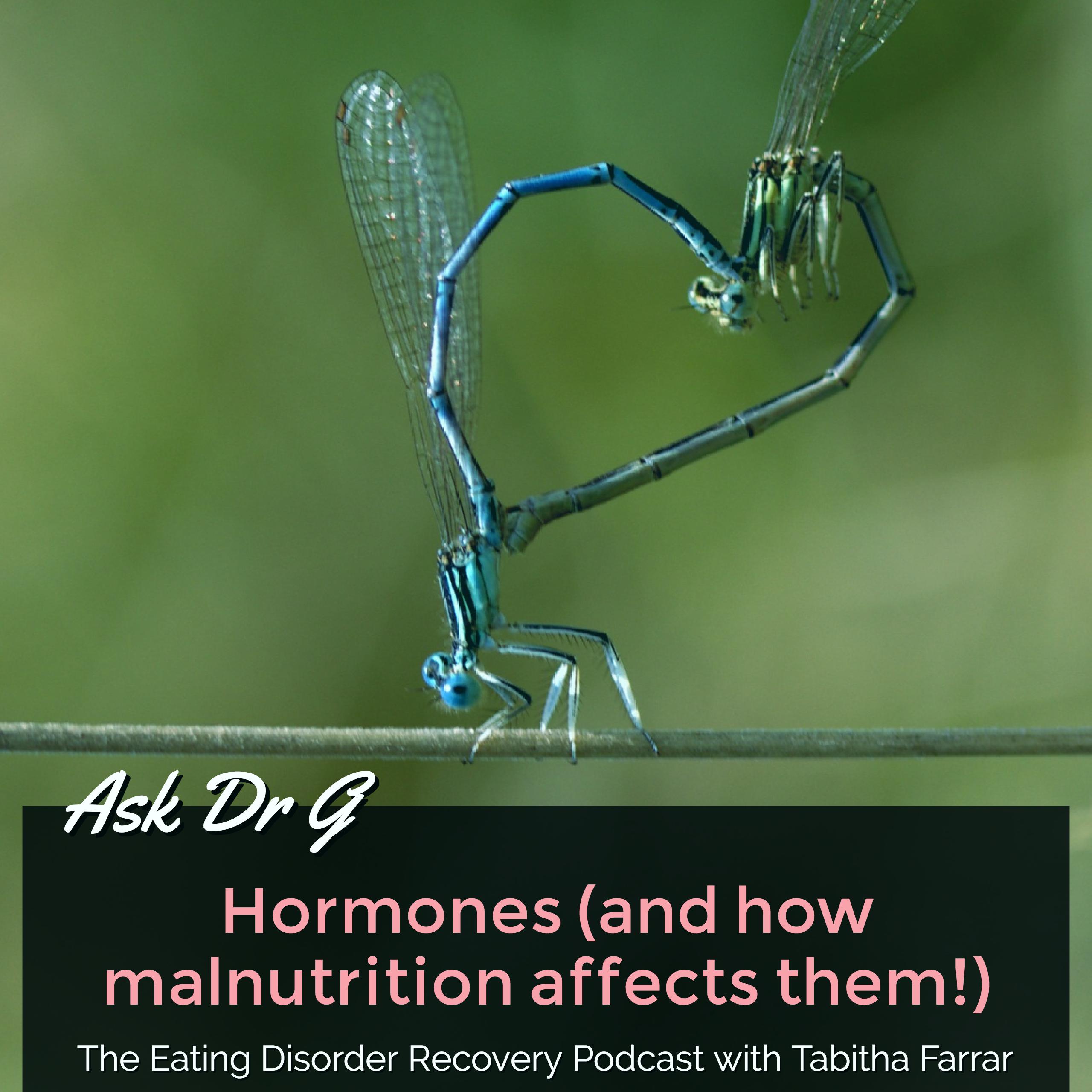 Dr G: Hormones (and how malnutrition affects them!)