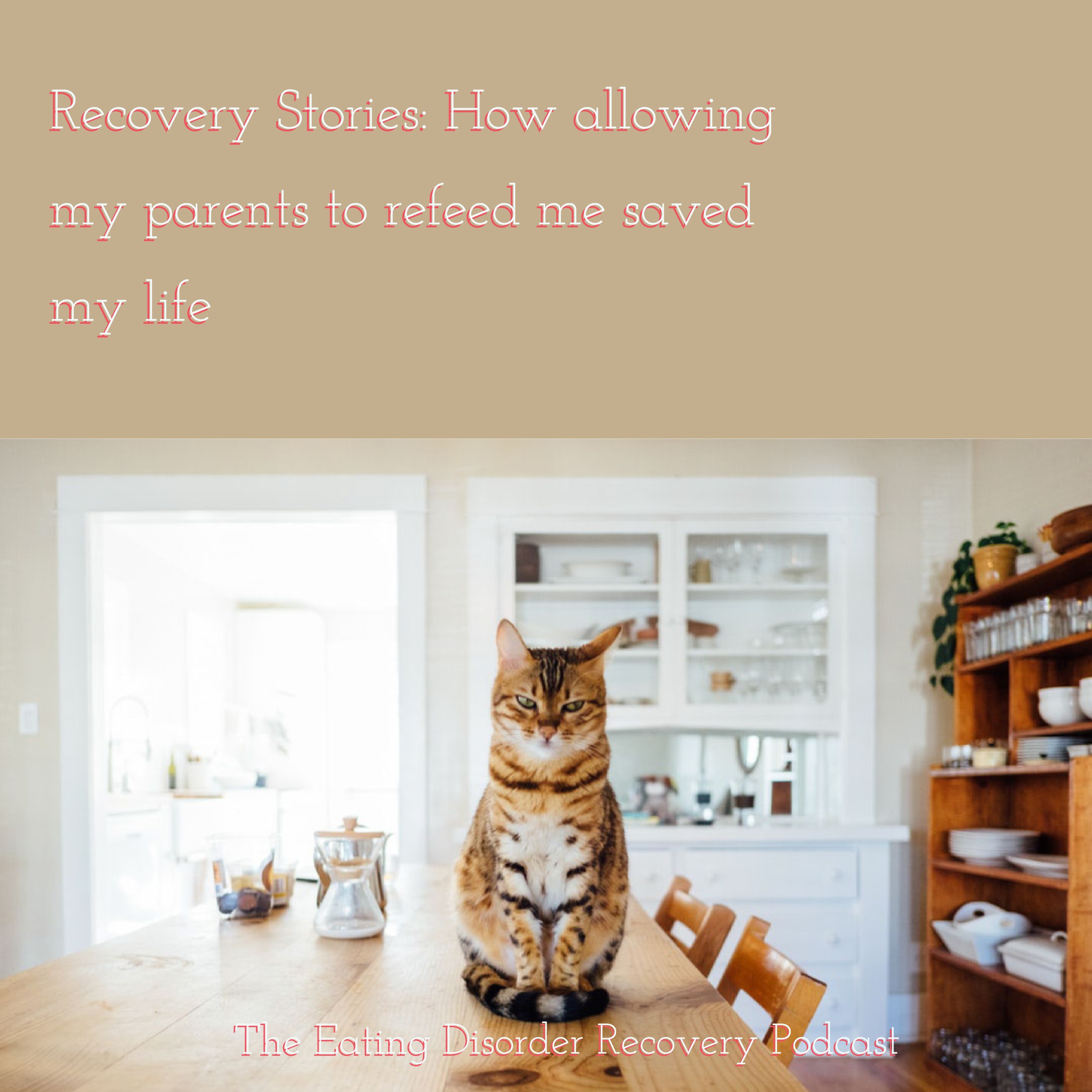 Recovery Stories: How allowing my parents to refeed me saved my life