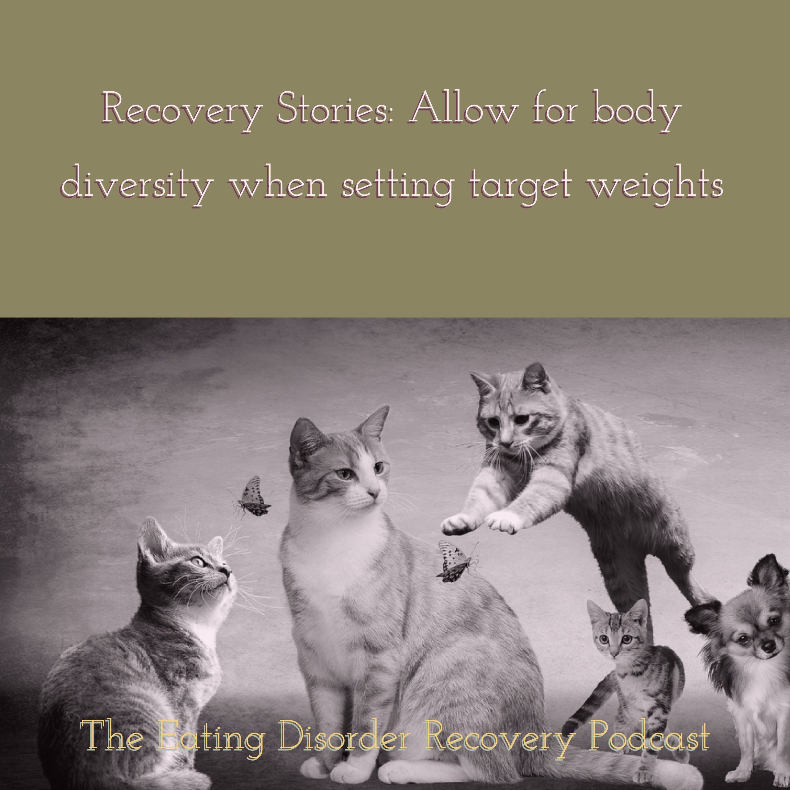 Recovery Stories: Allow for body diversity when setting target weights