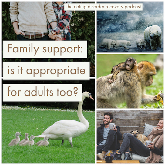 Family support: is it appropriate for adults too?