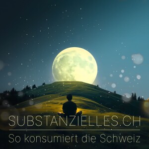 substanzielles.ch | Pilot