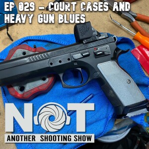 Ep 029 - Court Cases and Heavy Gun Blues