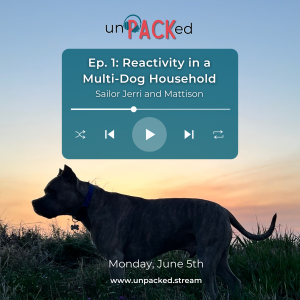 Episode 1: Reactivity in a Multi-Dog Household