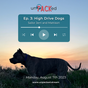 Episode 3: High Drive Dogs
