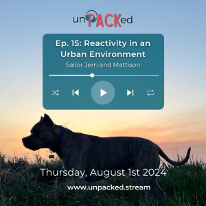 Episode 15: Reactivity in an Urban Environment