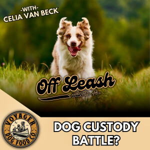 Dog Custody Battle?